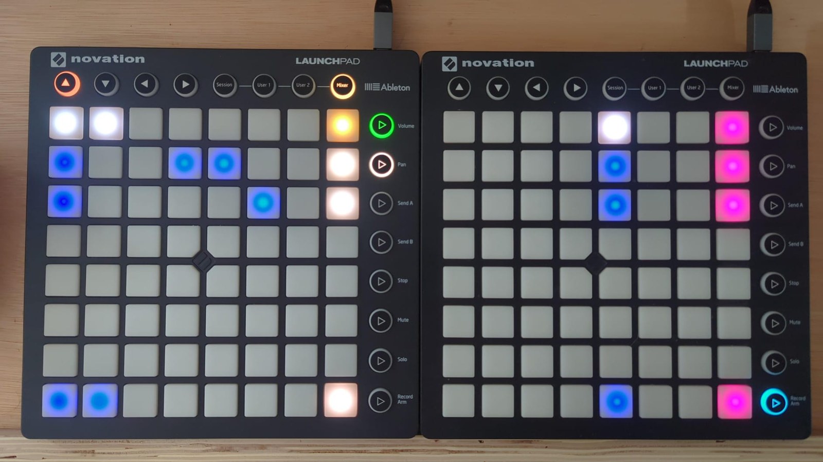The session IO view: a top row with three bright white pads, a mustard pad in column 8 and a magenta pad at the far right, and three rows below it each showing a handful of deep blue pads with a warm white pad in column 8 and a magenta pad at the far right, photographed on the hardware